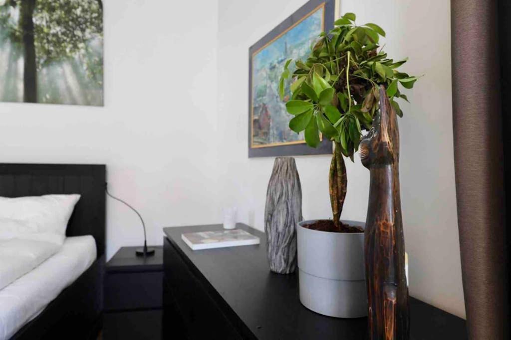 Spacious 1 Bedroom Belvedere Apartment *