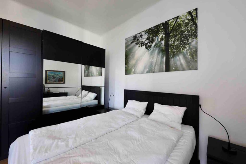 Spacious 1 Bedroom Belvedere